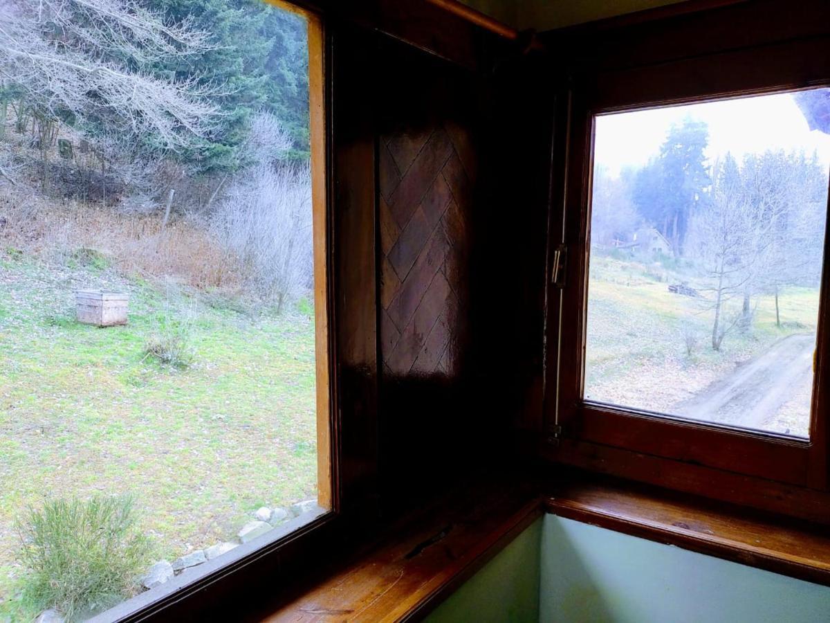 Posada Del Nireco サンカルロスデバリローチェ エクステリア 写真