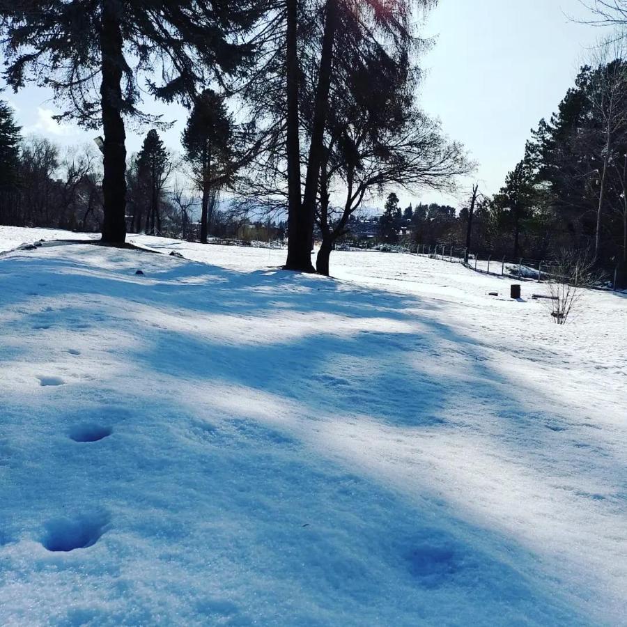 Posada Del Nireco サンカルロスデバリローチェ エクステリア 写真