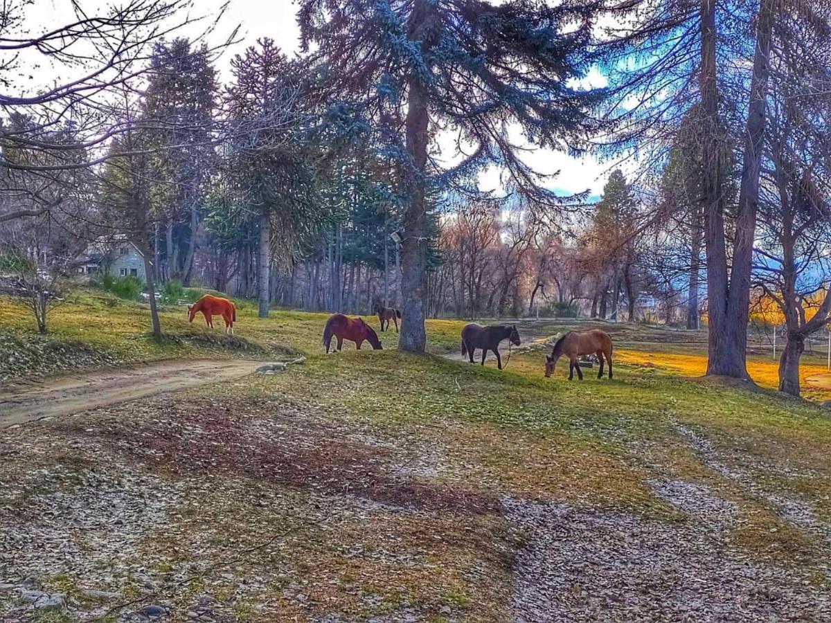Posada Del Nireco サンカルロスデバリローチェ エクステリア 写真